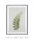Quadro Decorativo - Botanic No. 01 - comprar online