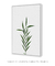Quadro Decorativo - Plant - Art Tonial - Quadros Decorativos