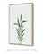 Quadro Decorativo - Plant - loja online