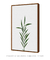 Imagem do Quadro Decorativo - Plant