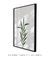 Quadro Decorativo - Plant na internet