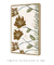 Quadro Decorativo - Roses horizontal - loja online