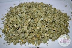 Moringa