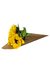Cone Sunflower - comprar online