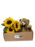 Sunflower Box's