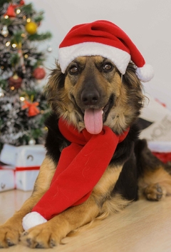 Gorro de Natal