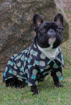 Camisa Pineapple - Ammolite Pet Supply