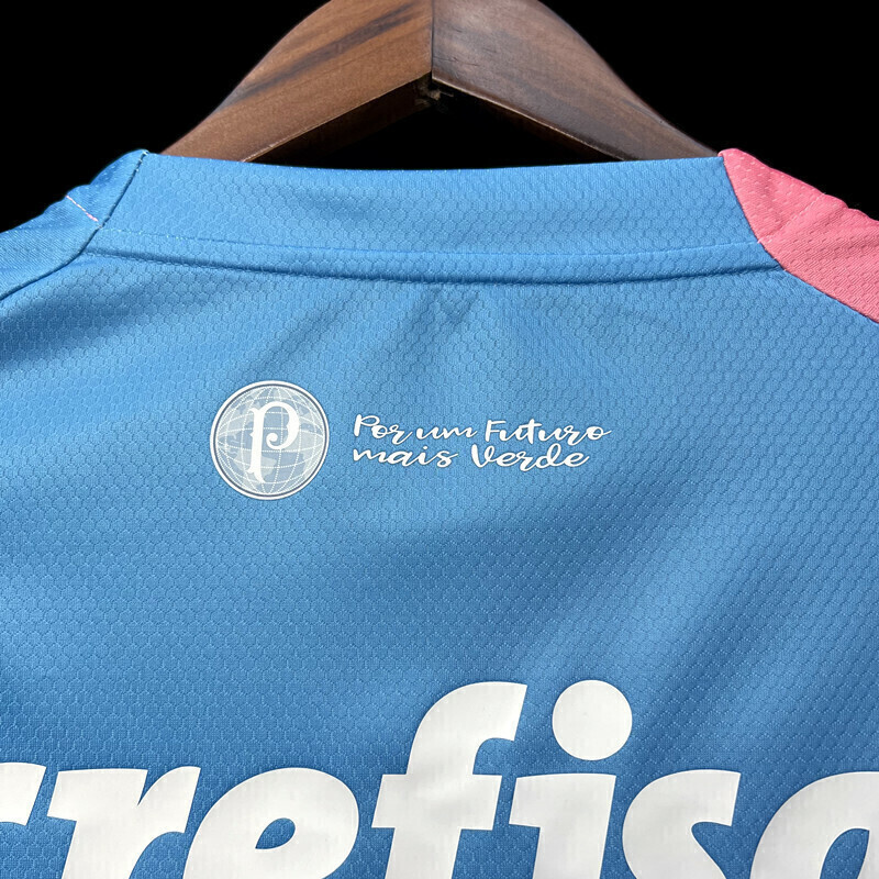 Camisa Palmeiras 'Outubro Rosa e Novembro Azul' 2023/24 Puma Torcedor  Masculina