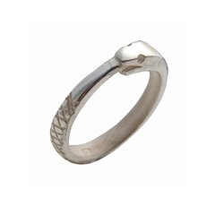 Anillo Ciclo Eterno Ouroboros Serpiente / Plata 925