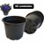 Kit 50 Vaso Redondo Mini Cachepot Plástico Para Cactos e Suculentas ou Pequenos Arranjos 240ml Ø9x7cm