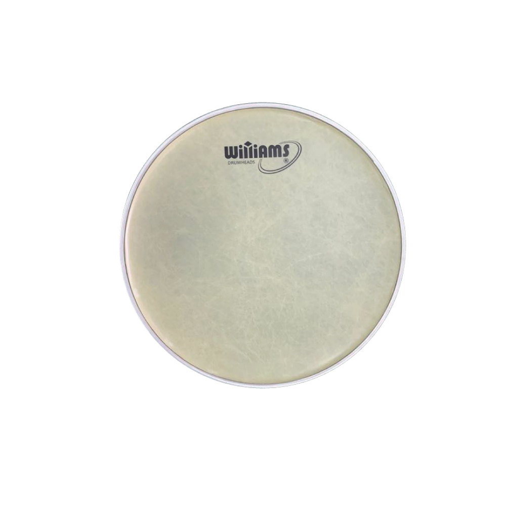 Williams top drum heads