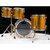 Bateria DW Performance Gold Sparkle Made USA 5PCS na internet