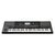 Teclado Korg Pa300 - comprar online