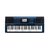 Teclado Casio MZ-X500