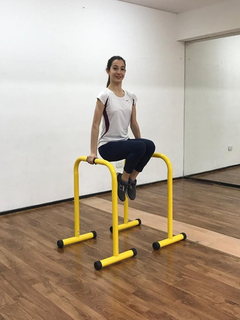 Barras Paralelas Calistenia