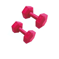 Imagen de Kit Entrenamiento Rosa N3 Rusa 2kg Pvc + Par de Tobilleras 1kg + Par de Mancuernas 2Kg + Banda con Agarres + Banda Circular