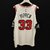 Jersey NBA - Nike - ICON EDITION AUTHENTIC - BULLS- 20/21 - PIPPEN #33 - comprar online