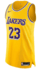 Jersey NBA - Nike - ICON EDITION AUTHENTIC - Los Angeles Lakers - Amarela - James #23 - comprar online