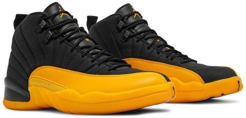 The new best sale jordans 12