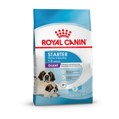 Royal Canin Starter Giant 10 Kg