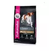 EUKANUBA ADULTO MEDIUM LAMB 15KG