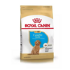 Royal Canin Caniche Poodle Junior 1 Kg