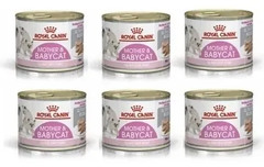 Caja Royal Canin Mother Y Babycat Lata 6 X 195 G (1.17 Kg)