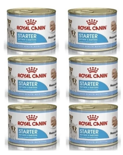 CAJA Royal Canin STARTER MOTHER & BABYDOG Lata (6x195g) 1.17 Kg