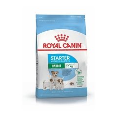 Royal Canin Starter Mother & Babydog Mini 3kg