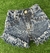 Short jeans deflecado Jorgelina - comprar online