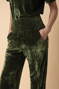 Calça Lastex em Veludo - Verde - Fernanda Gardini