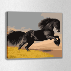 Caballo Negro - Kit para pintar por números!