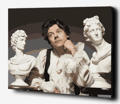Harry Styles estatuas - Pinta por números! - comprar online