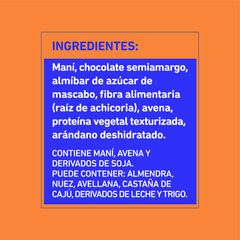 Barra Base Chocolate & Arándanos - Integra - comprar online