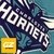 Imagen de CAMPERA NBA CHARLOTTE HORNETS TEMP. 2021 - BORDADO