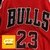 Michael Jordan 23 Chicago Bulls Mitchell & Ness Finales 1996/97 - Bordada Premium - GzSports