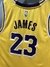 Lebron James #23 Los Angeles Lakers - Sublimada - comprar online