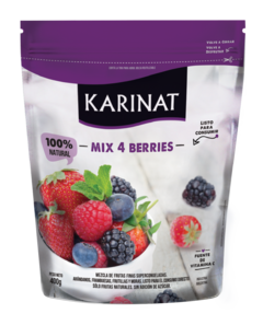 Mix 4 berries x400g - Karinat
