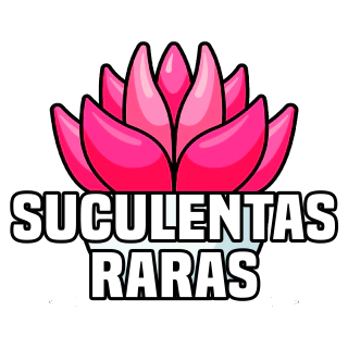 Suculentas Raras