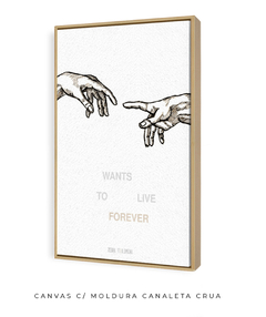 Quadro / Pôster - Who Wants To Live Forever - comprar online