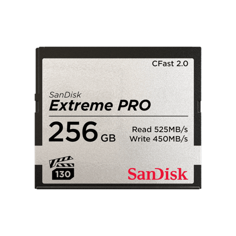 Sandisk extreme shop pro 256gb
