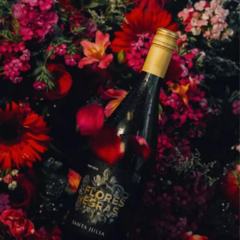 Vino Flores Negras Bodega Santa Julia Pinot Noir 2020 x 6 unidades - comprar online