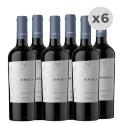Vino Anaia Gran Malbec Anaia Wines 2019 x 6 unidades