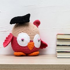 Coruja formanda em amigurumi - loja online