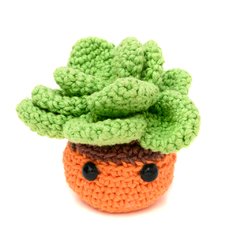 Planta Suculenta em amigurumi - loja online