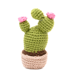 Cactus com Flor em Amigurumi - comprar online