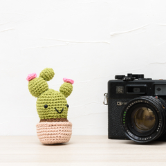 Cactus com Flor em Amigurumi na internet