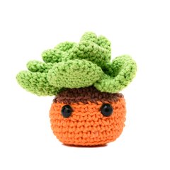 Planta Suculenta em amigurumi