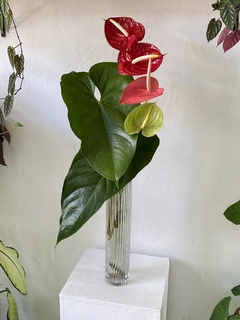 Oficina de Ikebana - Arte da Contemplação na internet