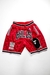 Short Chicago Bulls - #93 Bape